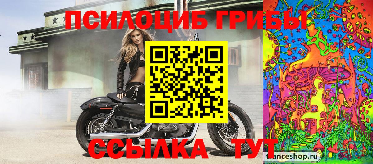 Новороссийск  Галлюциногенные грибы прущие грибы  Псилоцибиновые грибы Psilocybine cubensis  Вход с VPN 