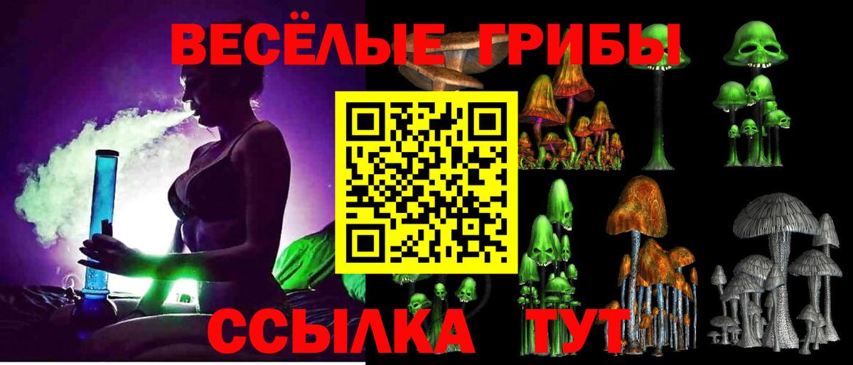 Псилоцибиновые грибы Psilocybine cubensis Новороссийск